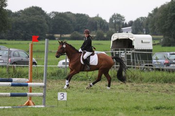 Bild 1339 - WBO-Turnier am 18.9.11